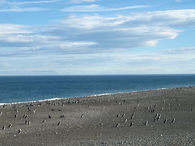 ../../Pictures/231209/072 Cabo Virgines.JPG